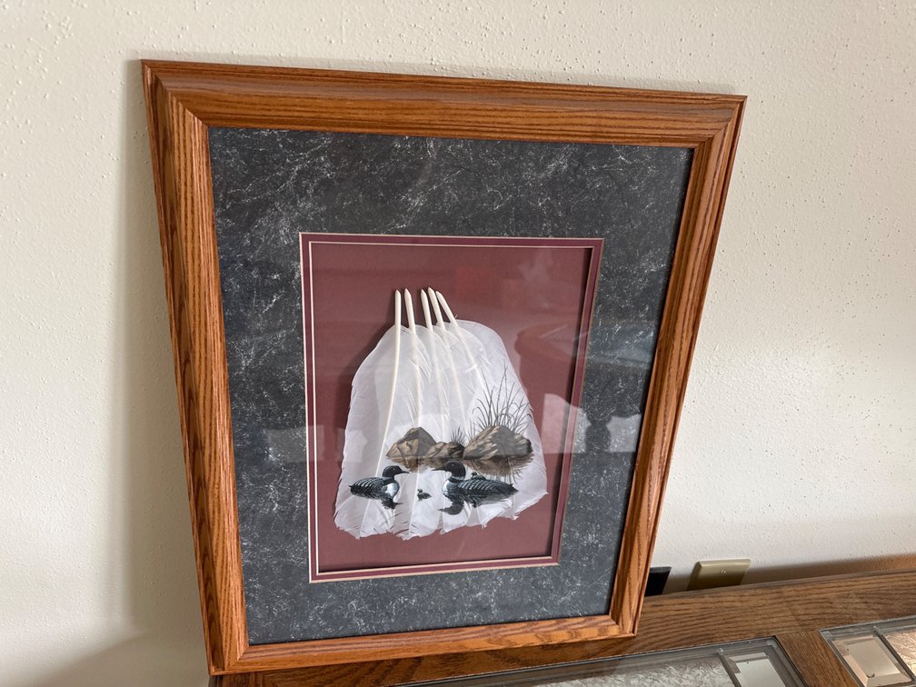 Hand Painted Duck/Feather Picture -21” X 17”