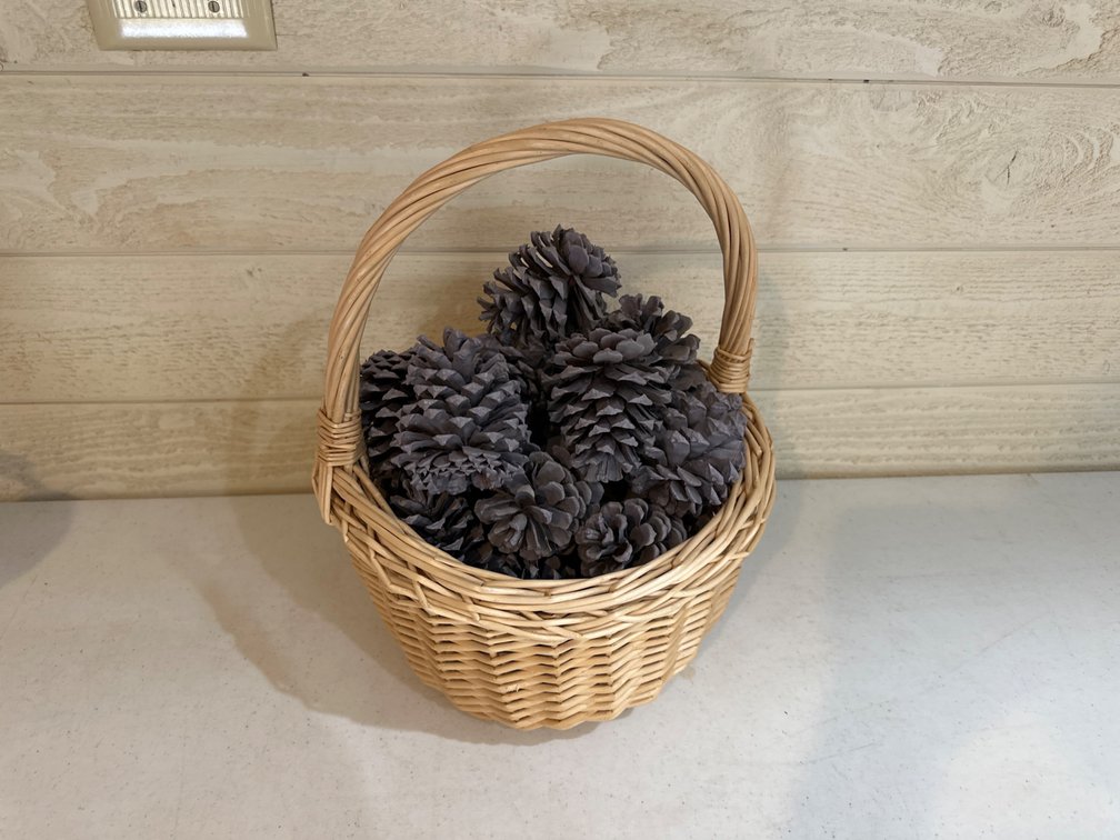 Basket with Pine Cones