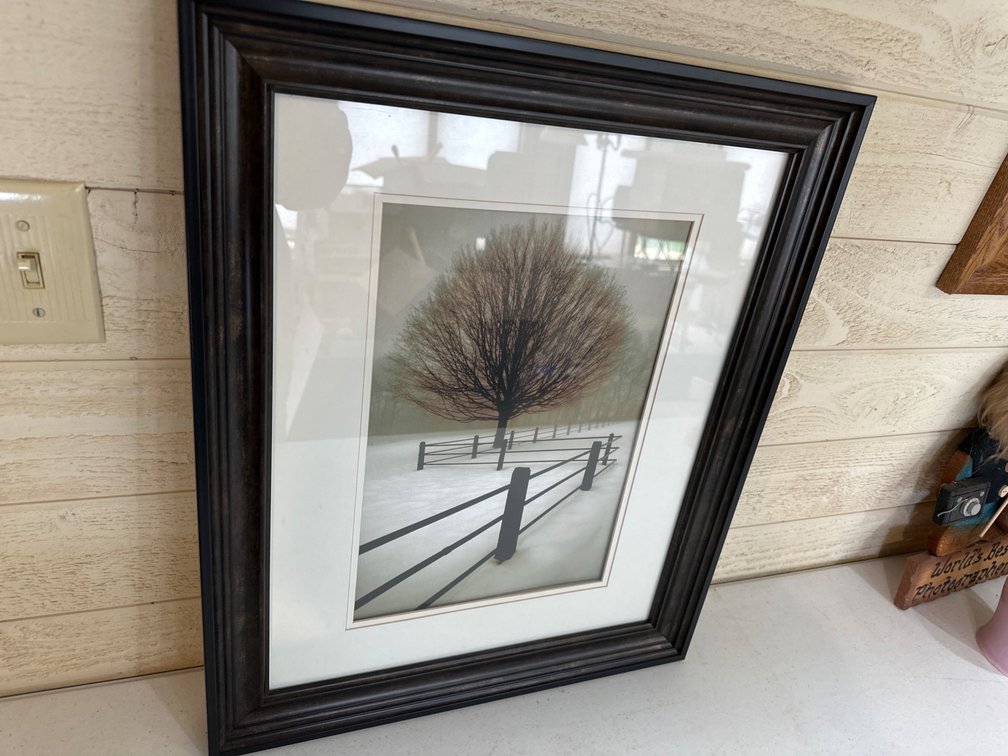 16” X 20” David Lorenz Winston Picture