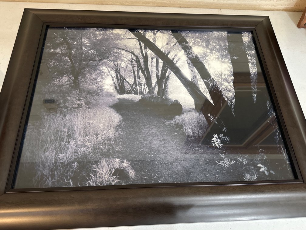30” X 24” Framed Wall Picture