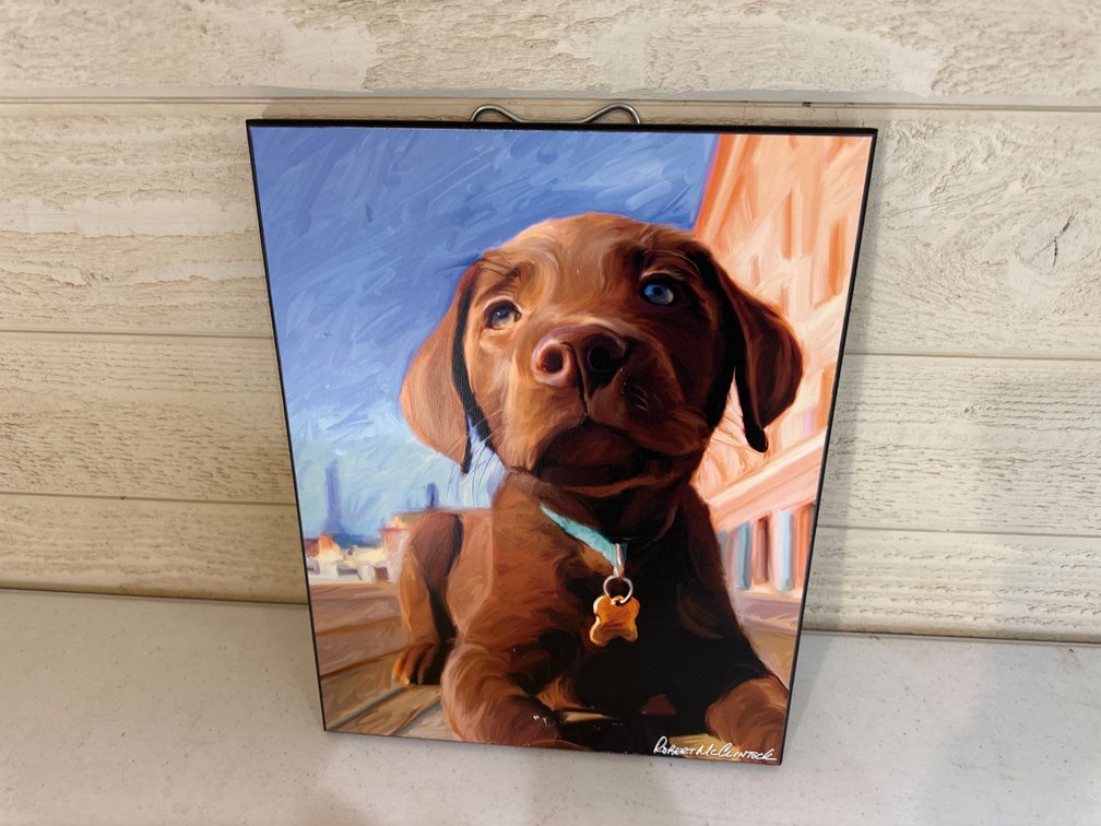 Dog-Labs, 14” X 11”