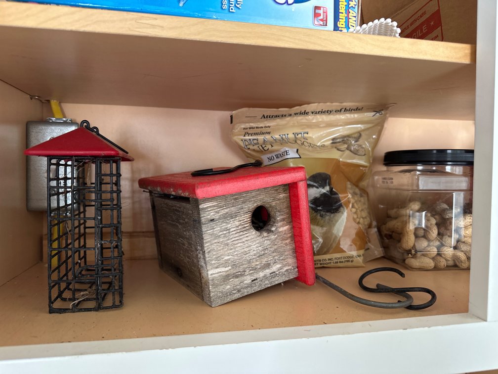 Bird Feeders, Food