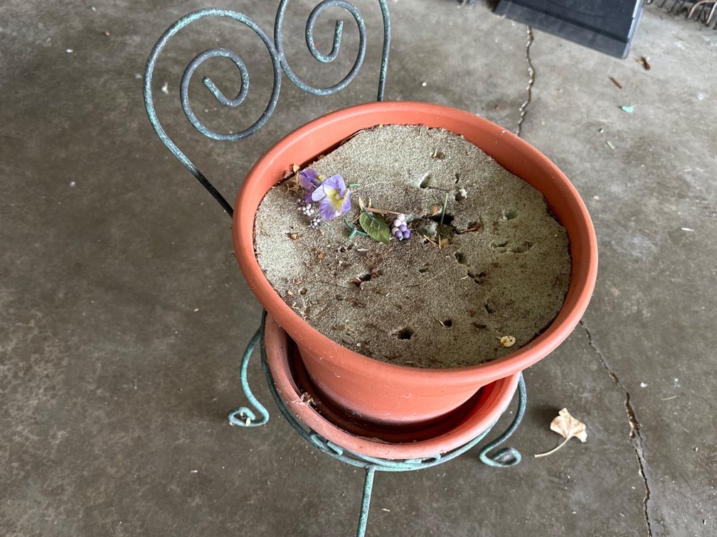 Planter and Chair Holder-22” Tall