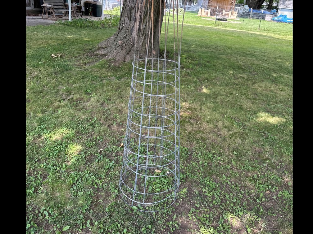 3 Larger Tomato Cages