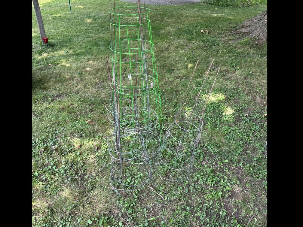 Tomato Cages