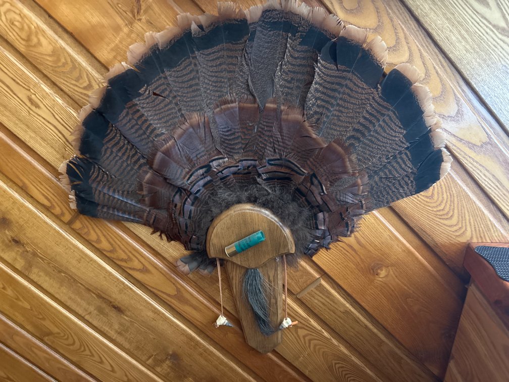 Turkey Mount