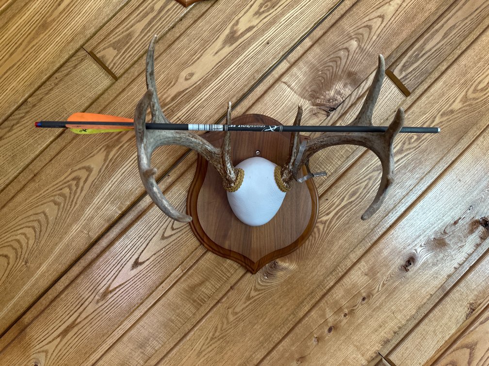 Antler Mount with Arrow