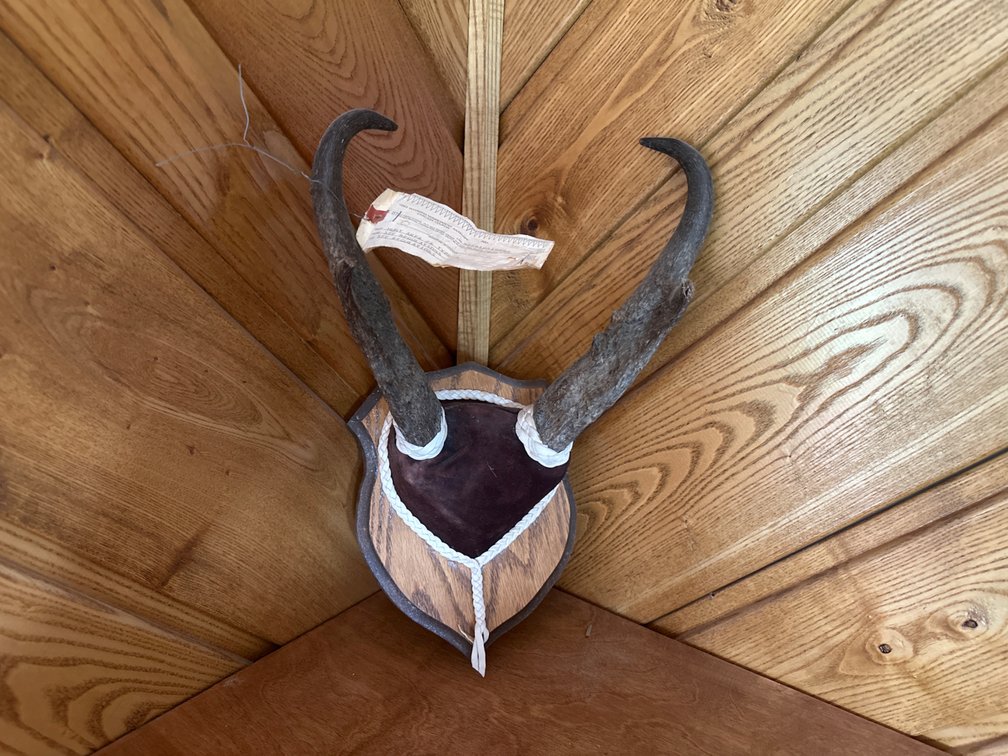 Antelope Mount