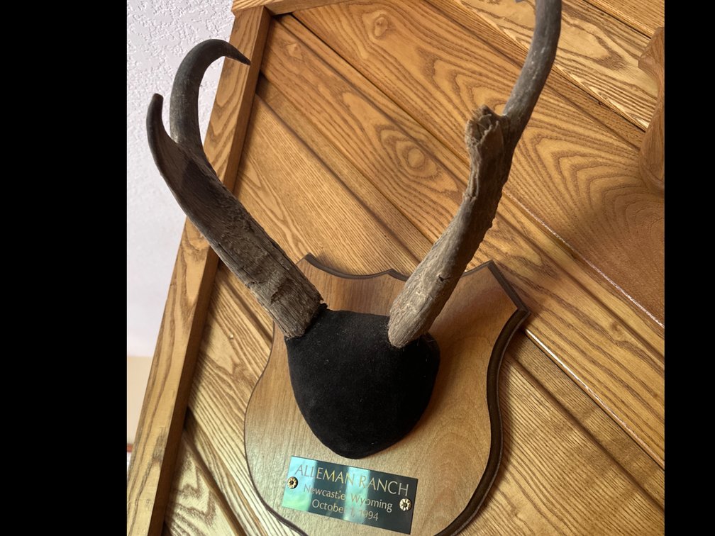 Alleman Ranch-Antelope Mount