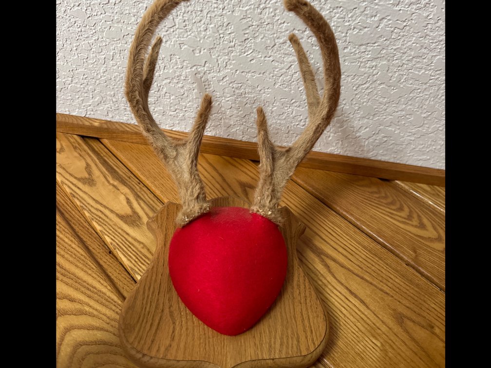 Antler Mount-In Velvet-7 Pointer