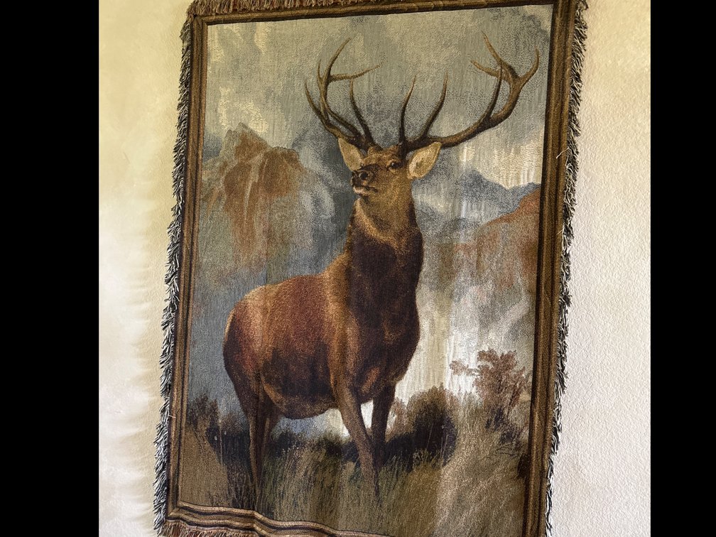 Wall Hanging-Deer Throw-70” X 50”