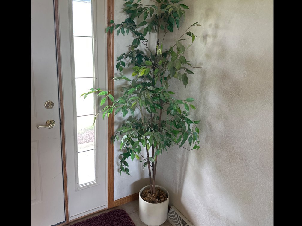 Artificial Plant-7’