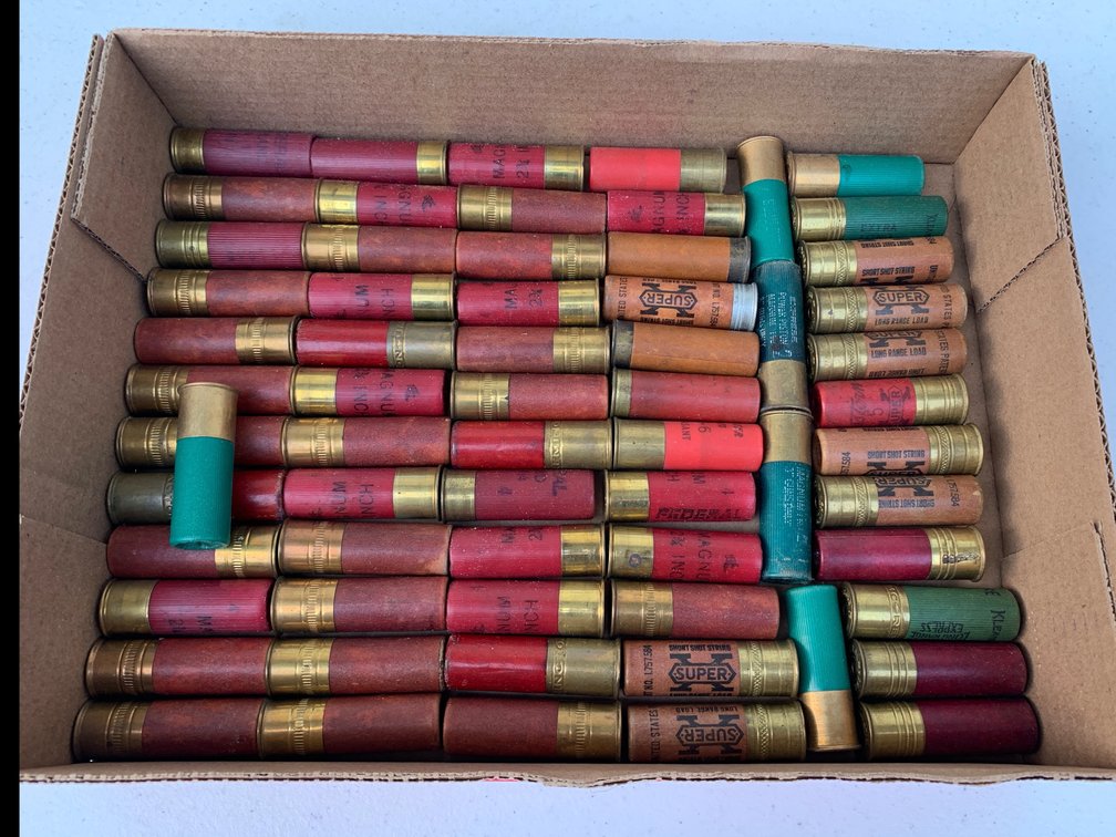 12 Gauge Shot Gun Shells