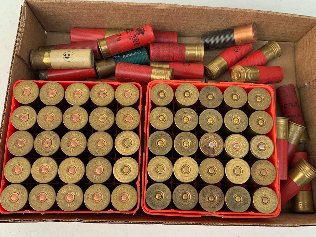 12 Gauge Shot Gun Shells
