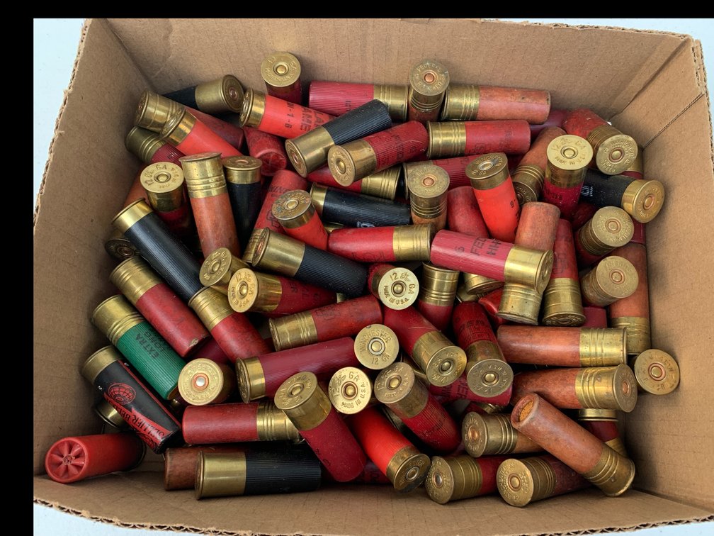 Variety of 12 Gauge Shells