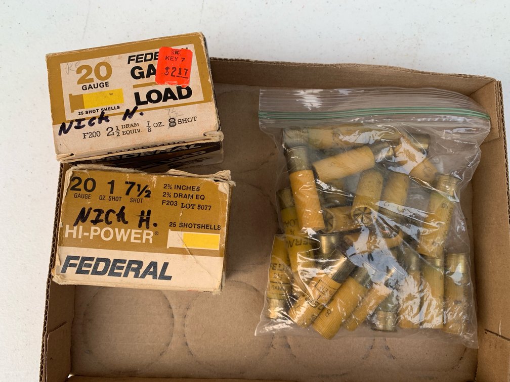 20 Gauge Shot Gun Shells