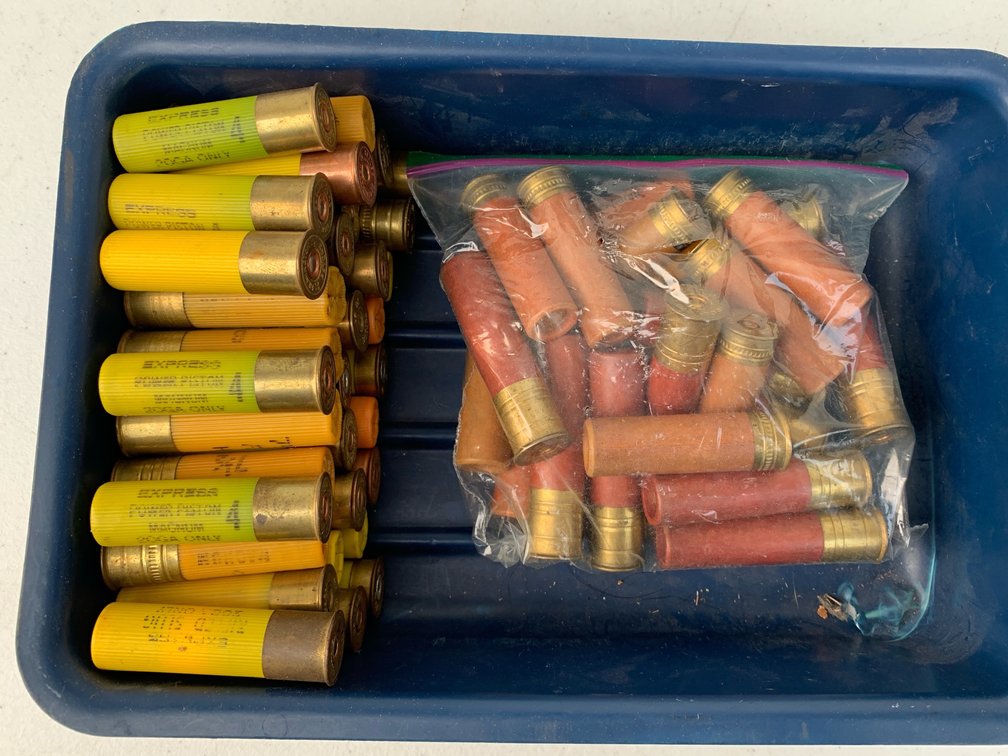 20 Gauge Shot Gun Shells