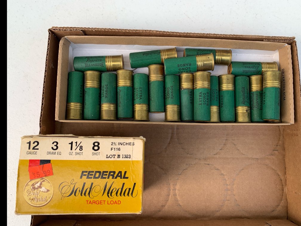 12 Gauge Shot Gun Shells