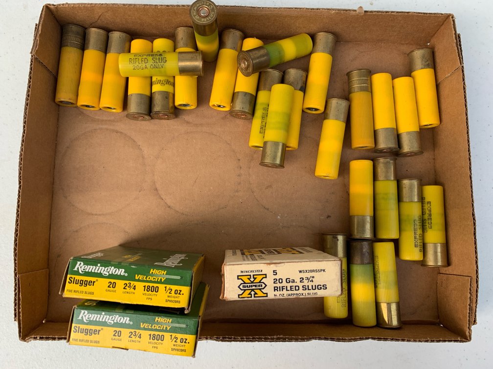 20 Gauge Rifled Slugs