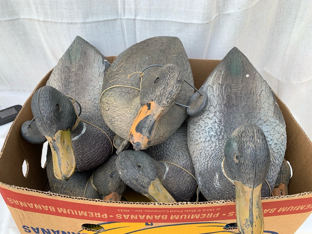 Duck Decoy