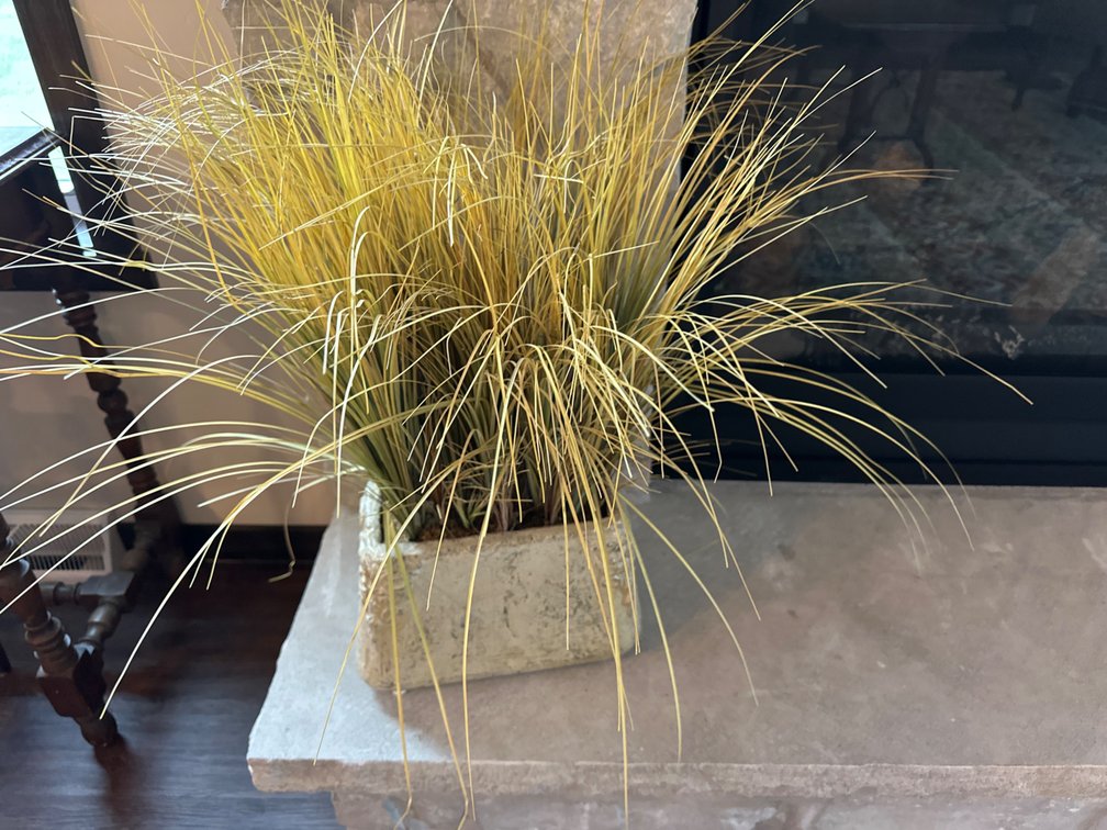 Artificial Plant, Cement Planter-24” Tall