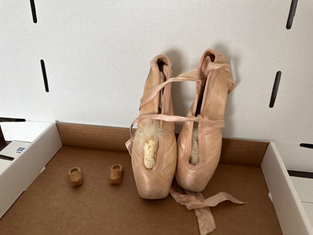 Ballet Shoes