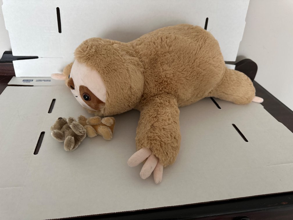 Weighted Stuffed Animal-Sloth, Bears