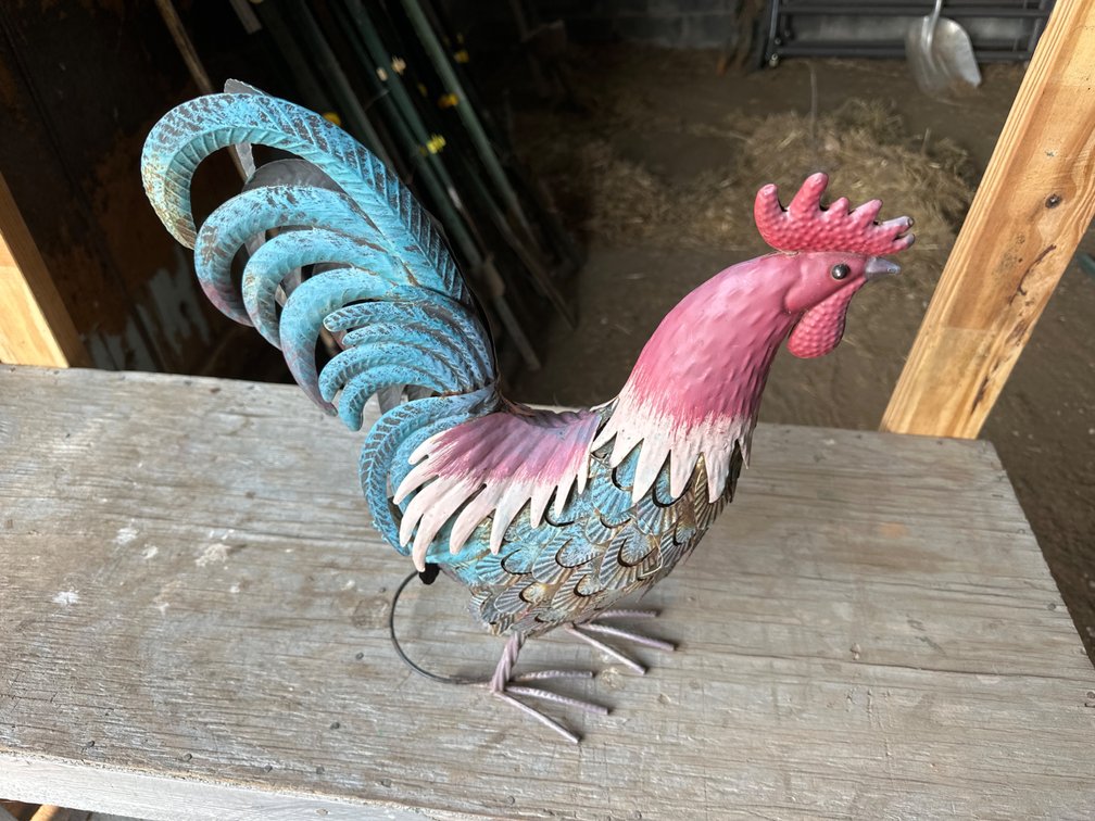 Metal Rooster-17” Tall
