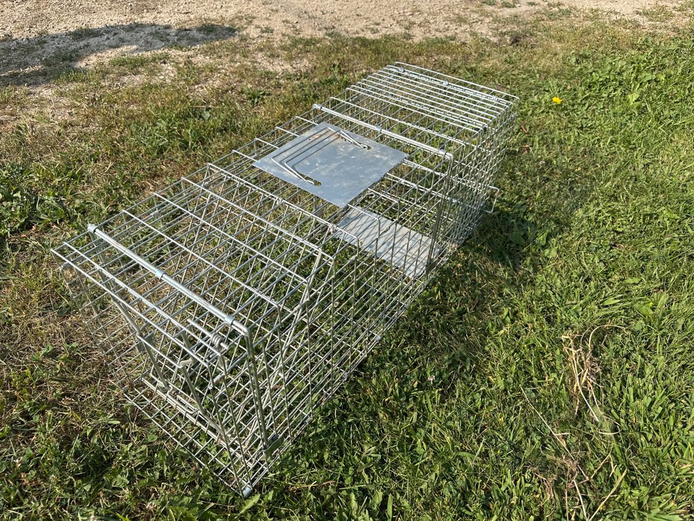 Large Animal Trap-31” X 11”