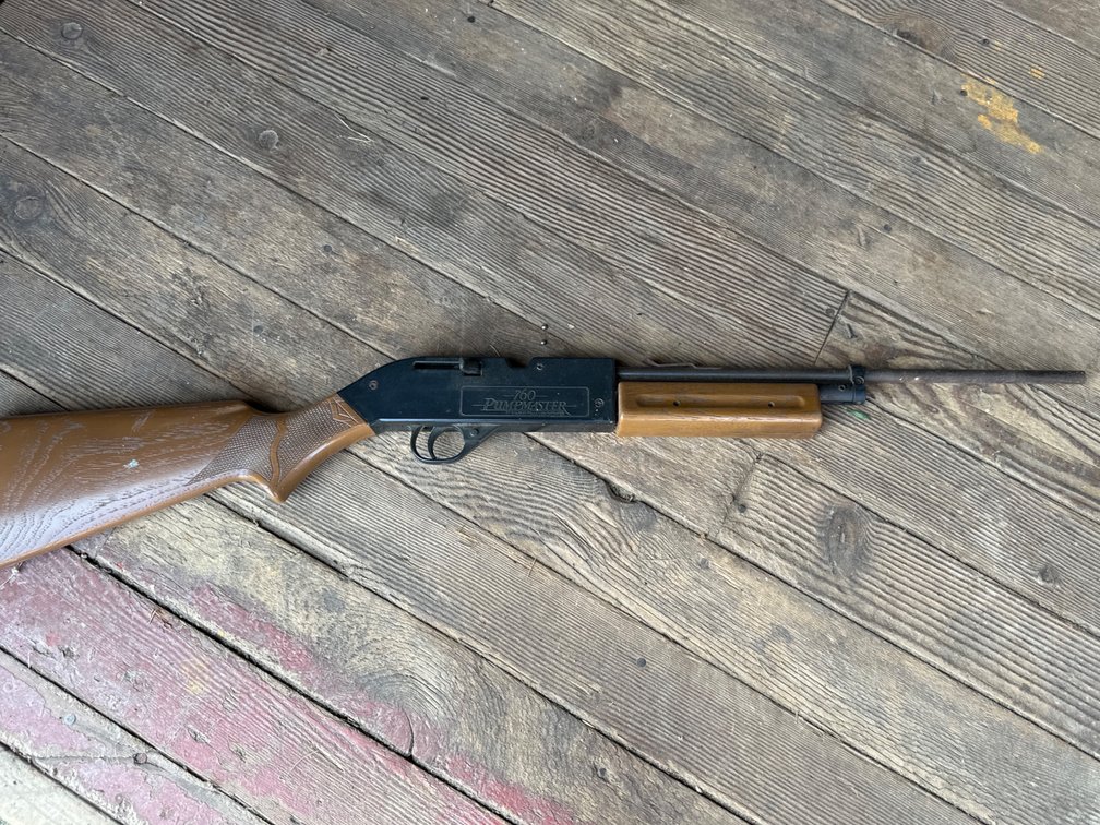 Crosman Air Gun