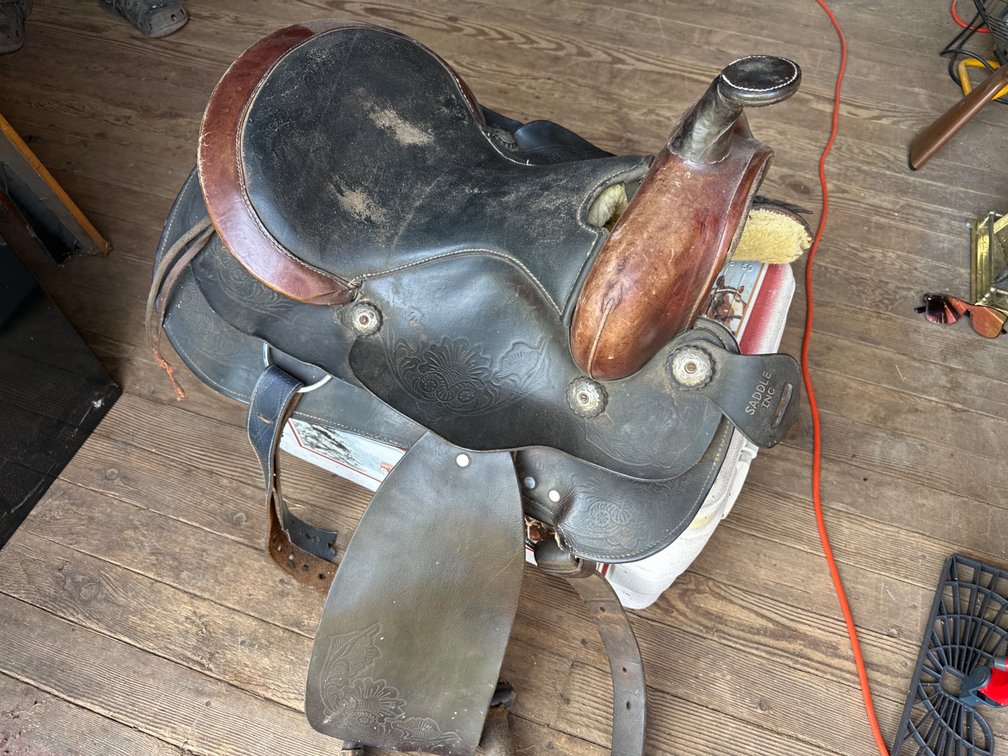Saddle-15” Seat, 8” Gullet