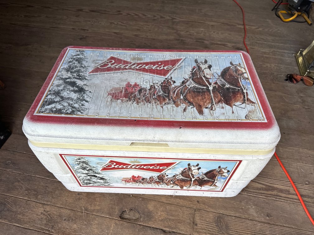 Igloo Budweiser Cooler