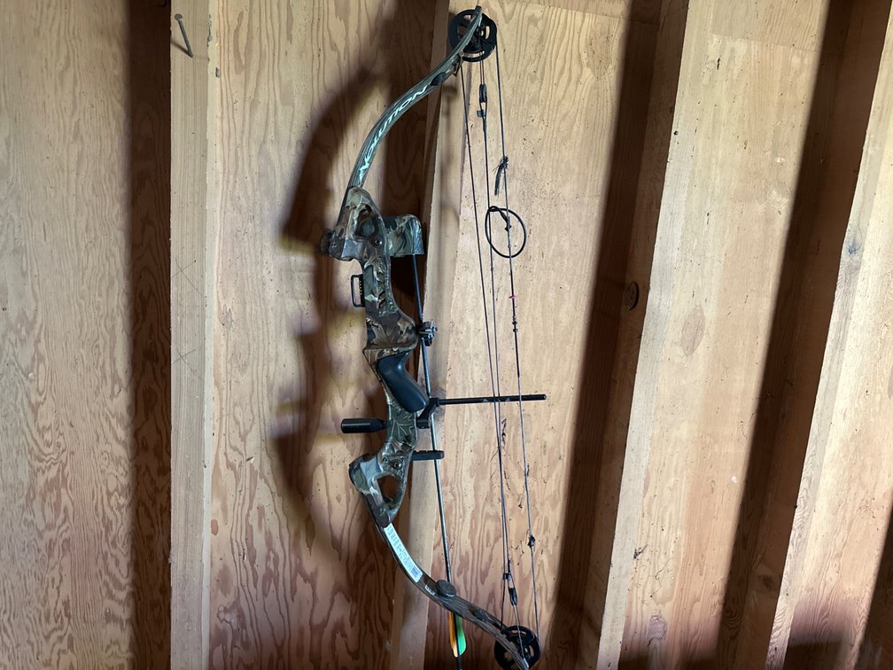 Evolution Golden Eagle Bow with Arrows