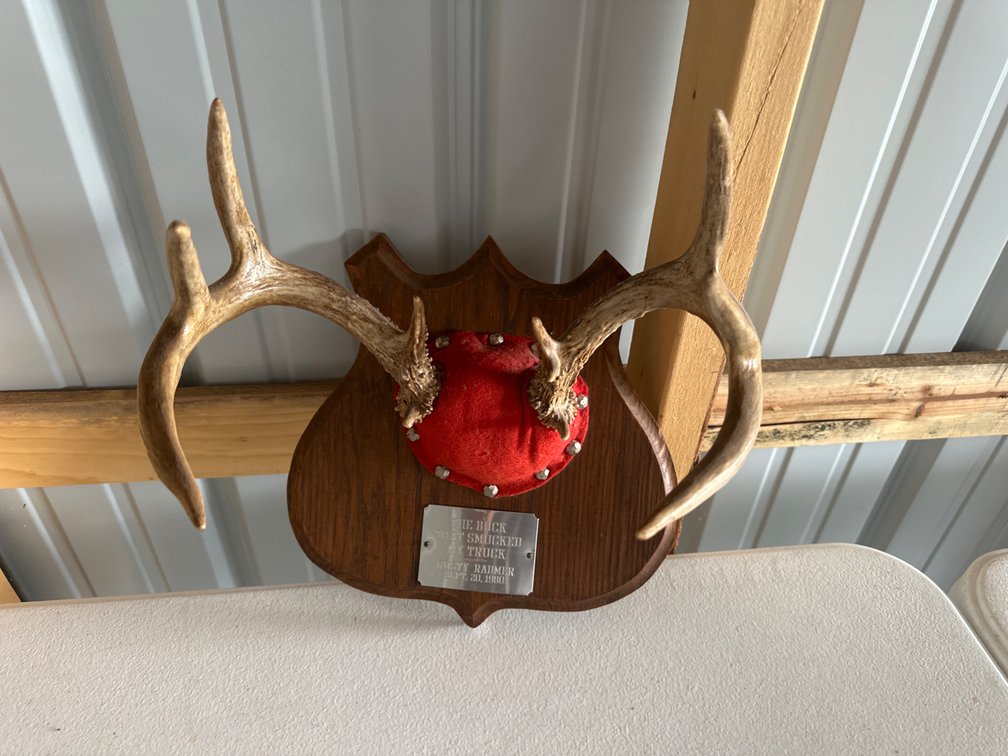 10 Pointer -Mounted Antlers
