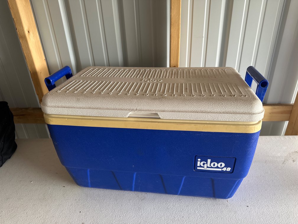 Igloo Cooler