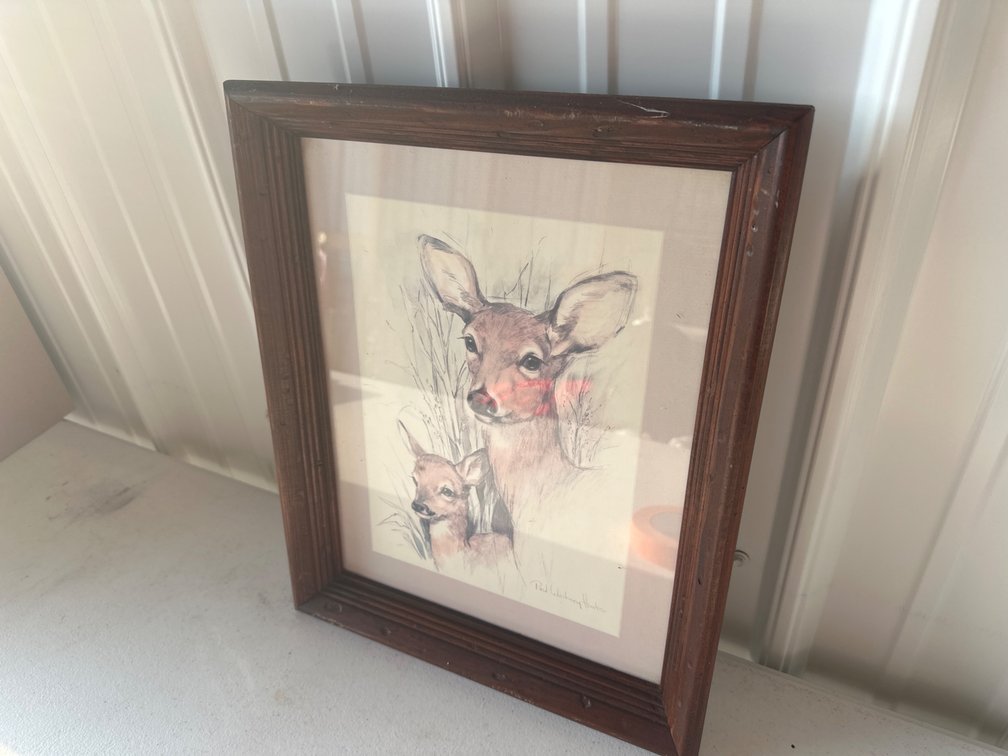 Vintage Framed Deer Picture