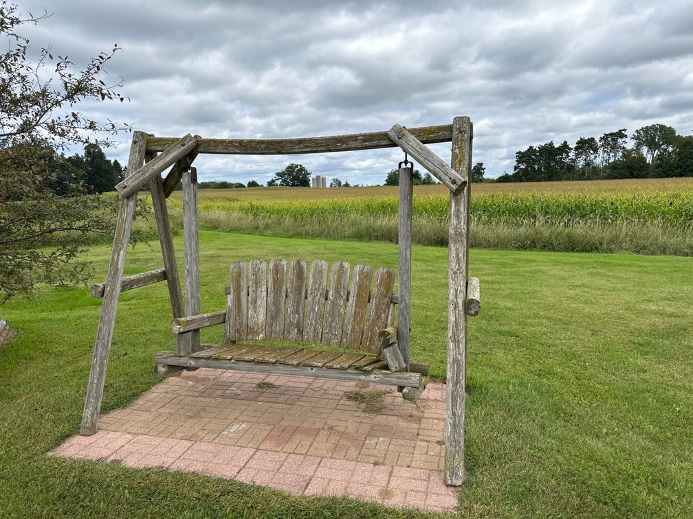 Outdoor Swing-Needs work