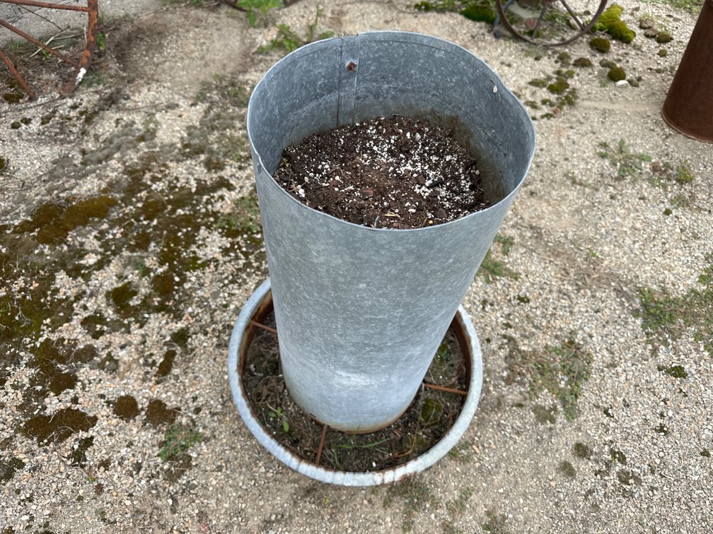 2’ Tall Chicken Feeder used for Flowers