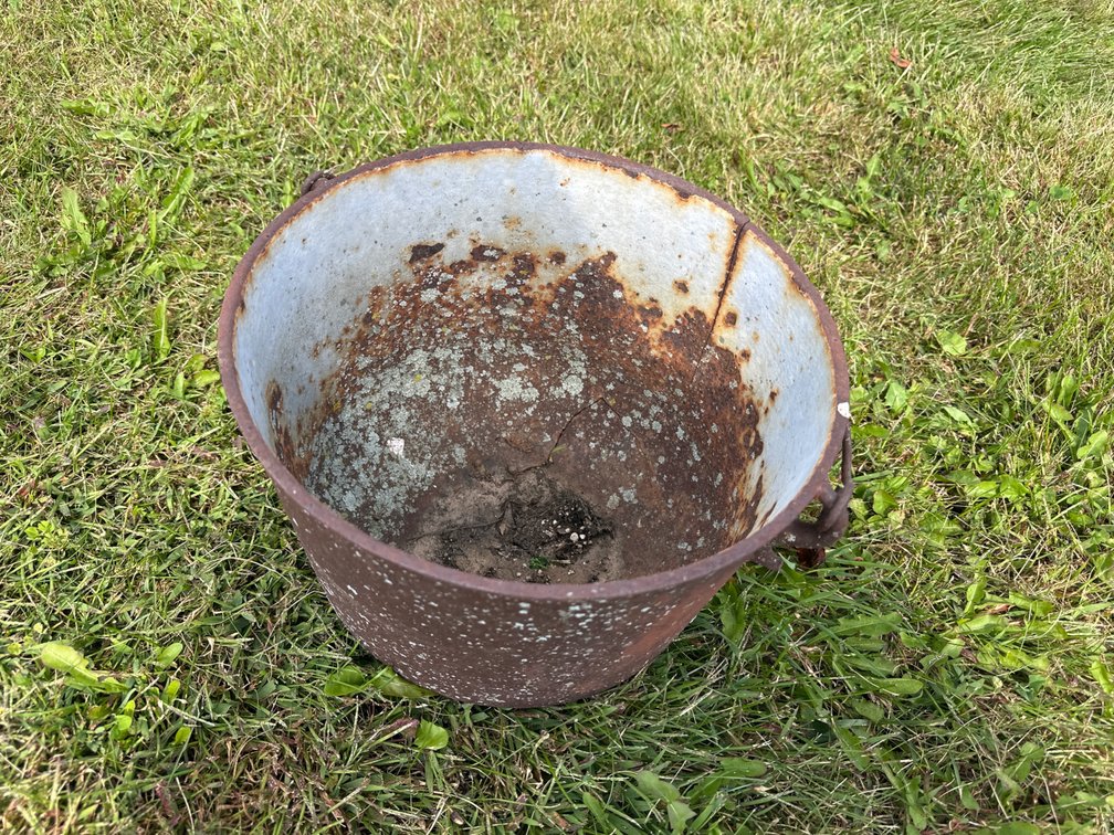 Old Rusty Pail-Used For Flowers