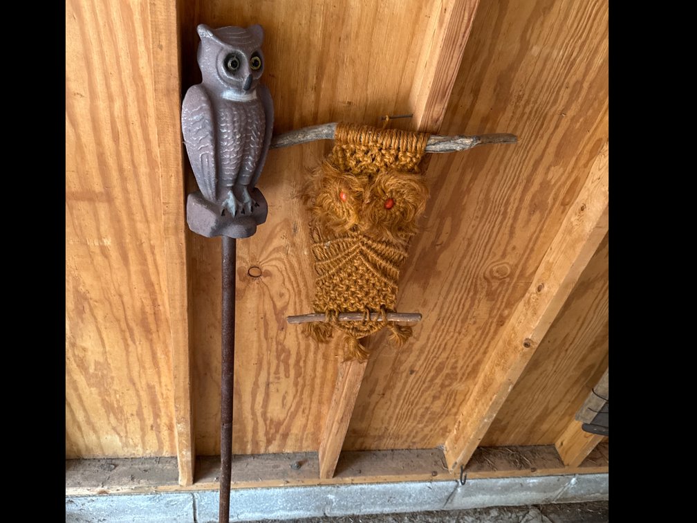 Macrame Owl, Garden Owl