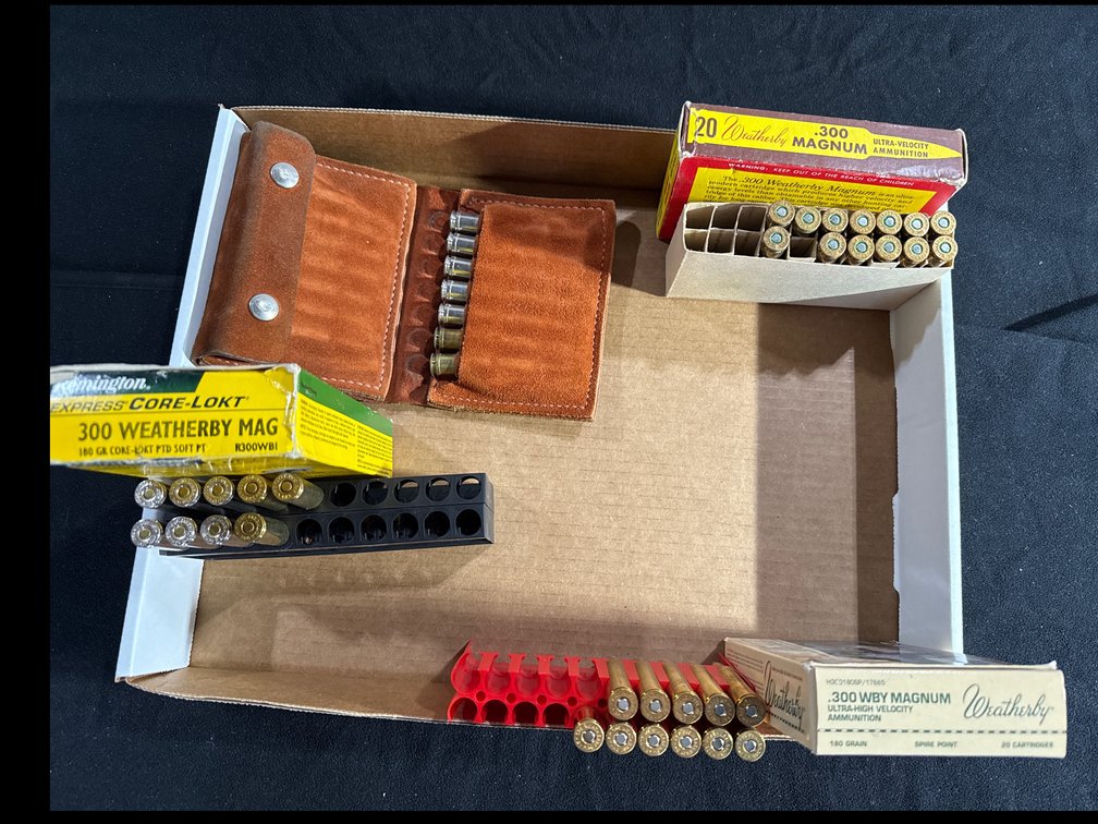 300 Weatherby Ammunition
