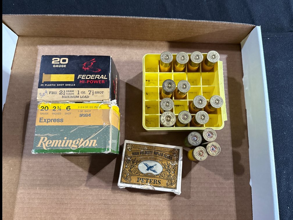 Ammunition- 20 Gauge