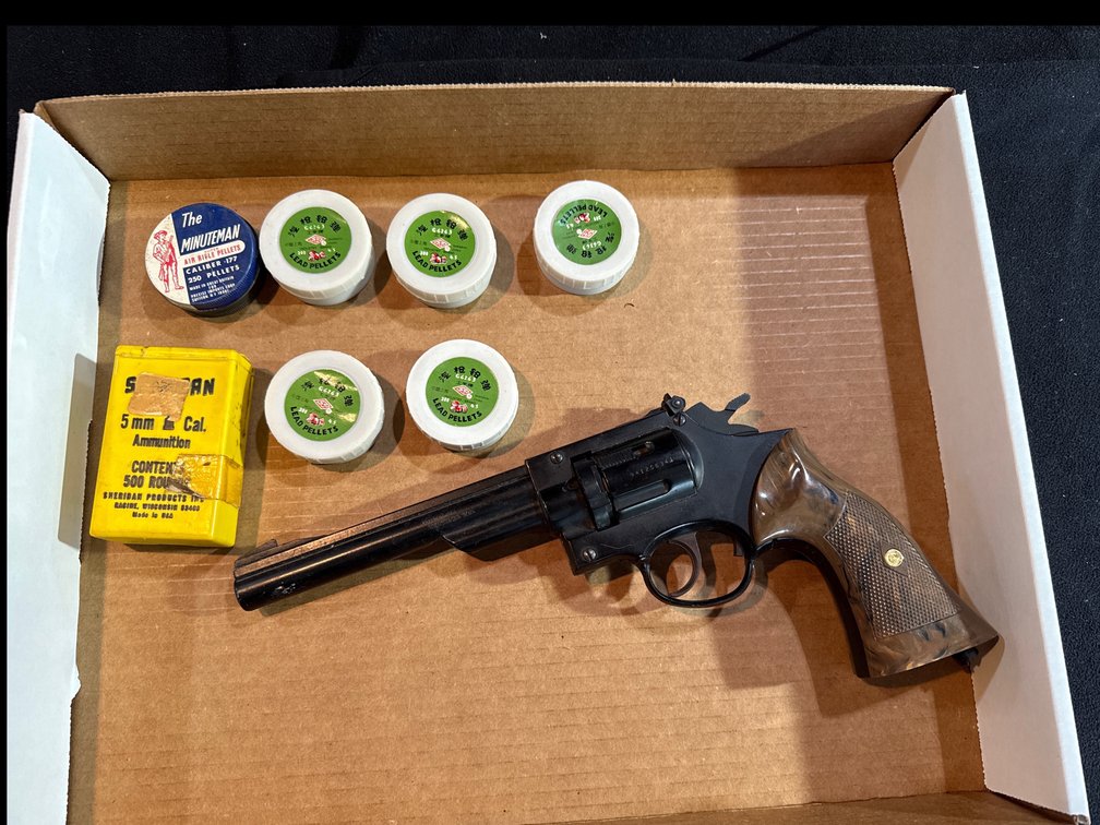 Crosman Air Gun and Ammunition