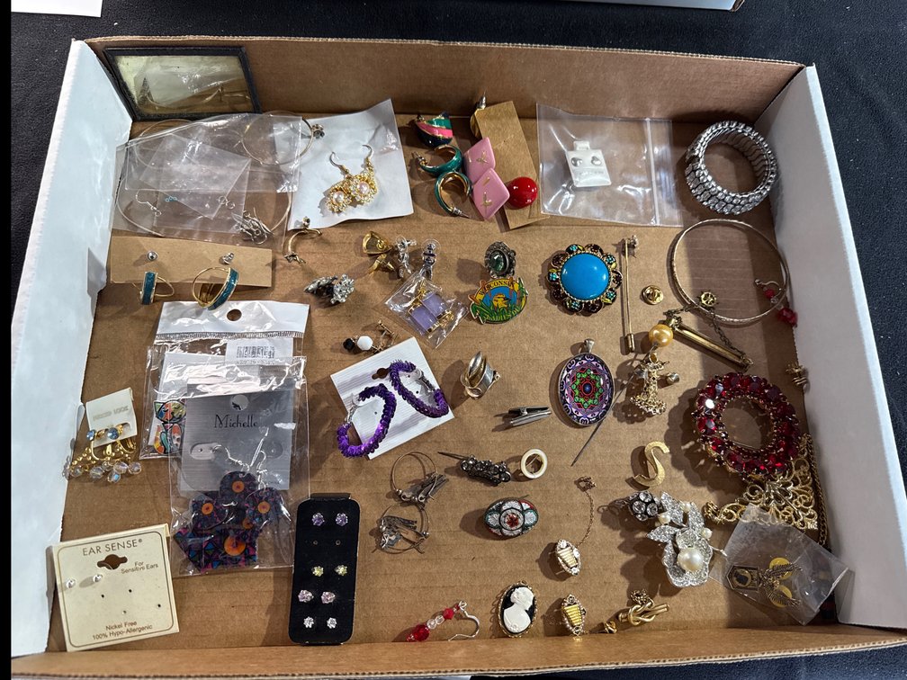 Earrings And Pins