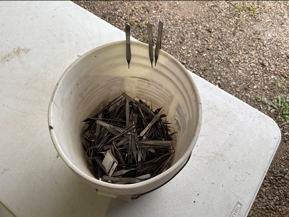 Pail of Tweezers
