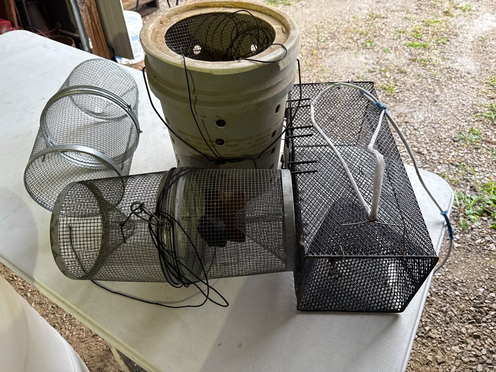 Fish Traps