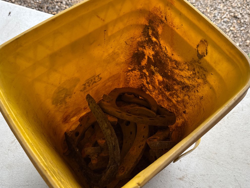 Pail with Horseshoes