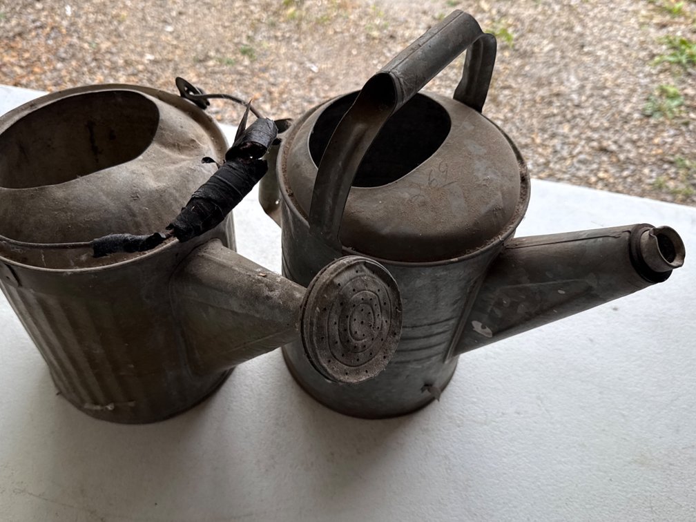Galvanized Watering Cans