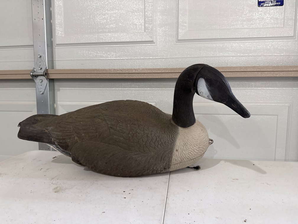 Canadian Goose Decoy