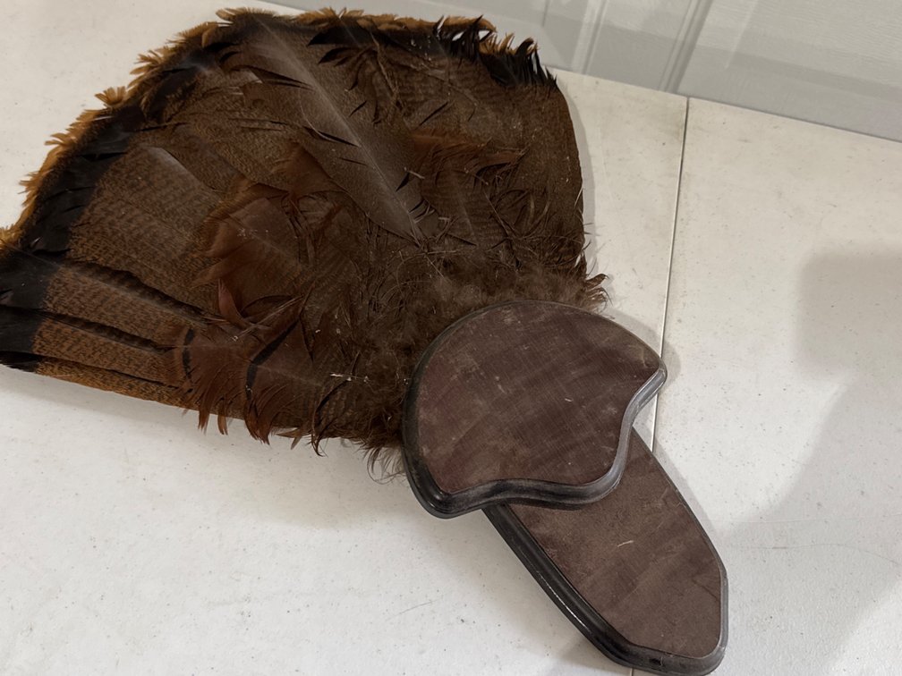 Turkey Feathers